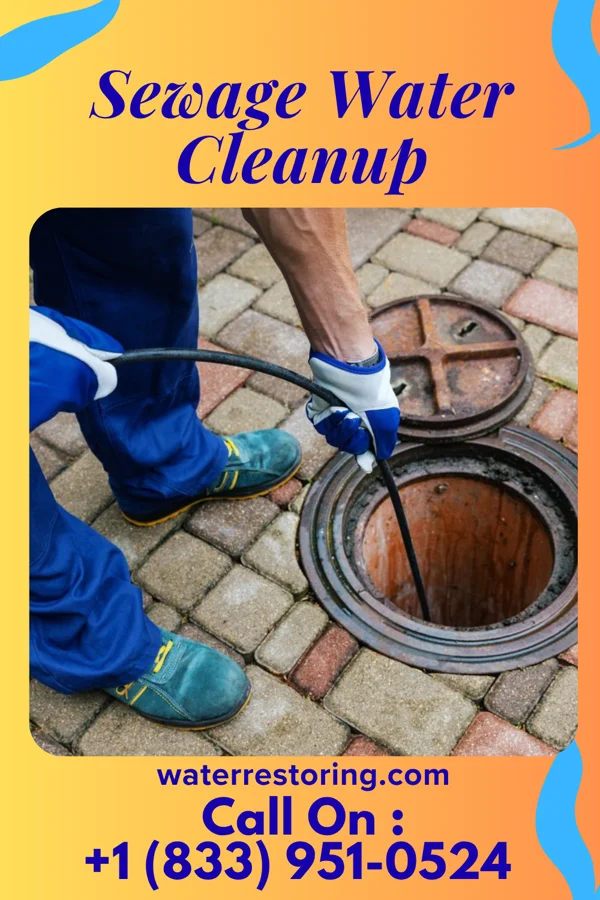 Sewage Water Cleanup in Lowesville, NC
